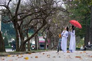 Lối sống đặc trưng của người Hà Nội